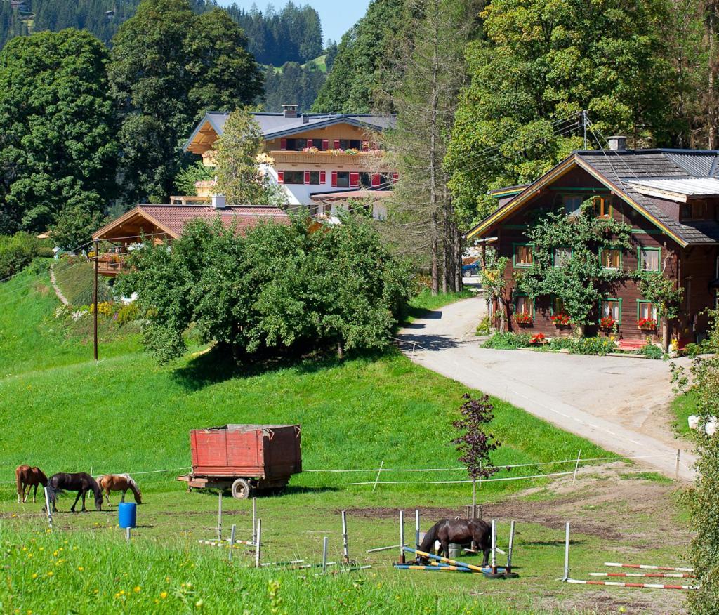 Zauchtaler Hof Hotel Altenmarkt im Pongau Exterior foto